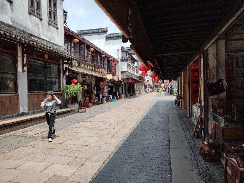 动物帮帮忙保卫家园